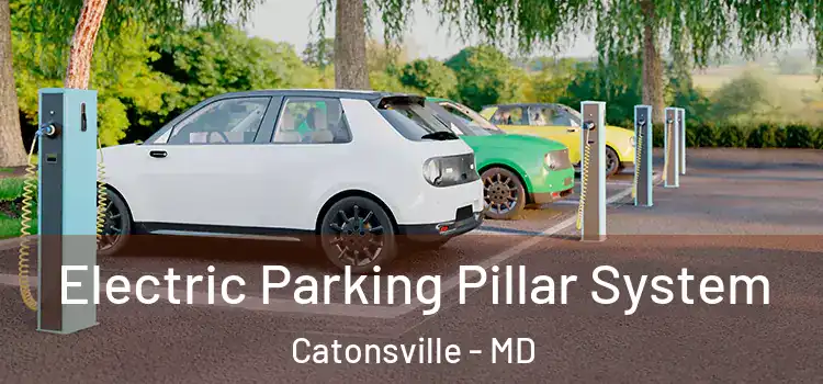  Electric Parking Pillar System Catonsville - MD